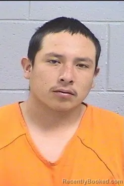 Mugshot of Sanderson Askiillee Frank