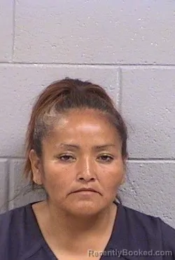 Mugshot of Jennie Ann Harvey booked in San Juan County, New Mexico on October 13, 2026