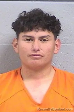 Mugshot of Brandon Tache