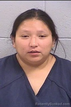 Mugshot of Alysha Renee Castiano booked in San Juan County, New Mexico on June 15, 2026