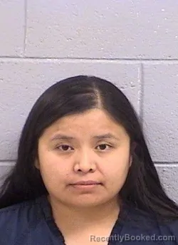 Mugshot of Lelani Cheree Howe booked in San Juan County, New Mexico on July 2, 2026