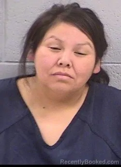 Mugshot of Anrelina Sage Ellison