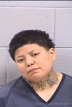Mugshot of Sharee Dee Daniels booked in San Juan County, New Mexico on April 30, 2026
