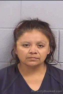 Mugshot of Janessa Bitt booked in San Juan County, New Mexico on October 17, 2026
