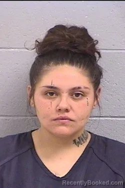 Mugshot of Daniese Marie Douglas booked in San Juan County, New Mexico on October 22, 2026