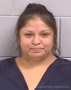 Mugshot of Jasmil Gaudalupe Arroyo booked in San Juan County, New Mexico on June 24, 2026