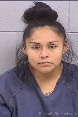 Mugshot of Rheannon Tamara Tinhorn