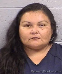 Mugshot of Nicole Lynn Toledo booked in San Juan County, New Mexico on September 28, 2026