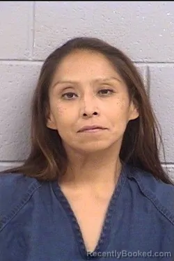 Mugshot of Catherine Rose Harrison booked in San Juan County, New Mexico on August 16, 2026