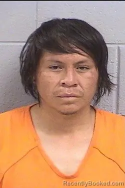 Mugshot of Knijel Japheth Castillo booked in San Juan County, New Mexico on July 31, 2026