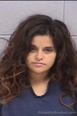 Mugshot of Arieliz Ariana Velazquez