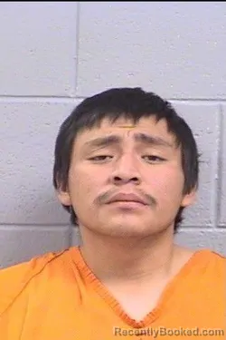 Mugshot of Tracy Raymond George