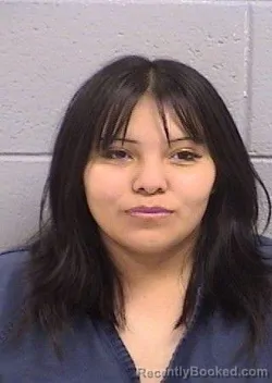 Mugshot of Rachel Renee Sam booked in San Juan County, New Mexico on June 18, 2026