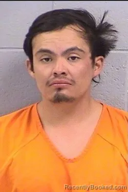 Mugshot of Bryan Lee booked in San Juan County, New Mexico on October 19, 2026