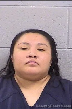 Mugshot of Chelby Laine Castillo booked in San Juan County, New Mexico on August 24, 2026