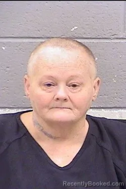 Mugshot of Maryelizabeth Ann Bingham-Jones booked in San Juan County, New Mexico on June 30, 2026