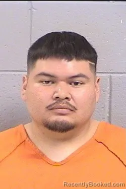 Mugshot of Nicholas Erickson Ellison