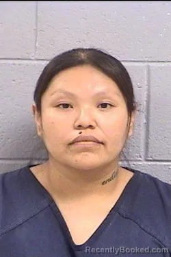Mugshot of Phoebe Michaels booked in San Juan County, New Mexico on June 24, 2026