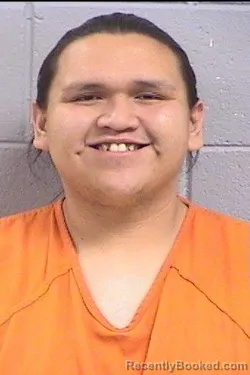 Mugshot of Ryan Austin McKinley booked in San Juan County, New Mexico on March 25, 2026