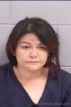 Mugshot of Sarah Ann Wilcox booked in San Juan County, New Mexico on July 9, 2026