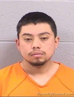 Mugshot of Cesar Ruelas Dominguez