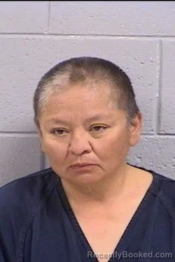 Mugshot of Evelena McGahey