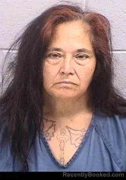 Mugshot of Lori Lee Krein booked in San Juan County, New Mexico on August 13, 2026