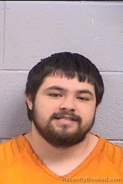 Mugshot of Irieal Perez