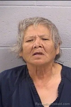 Mugshot of Susie Ann Martine booked in San Juan County, New Mexico on August 7, 2026