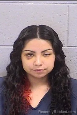 Mugshot of Shaneece Deanna James