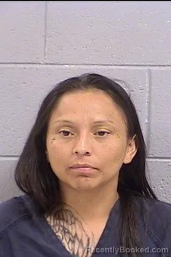Mugshot of Relyna Louise Sandoval booked in San Juan County, New Mexico on October 24, 2026