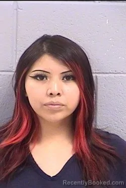 Mugshot of Teniesha Nikki Begaye