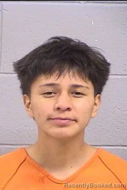 Mugshot of Adriano Everett Hot