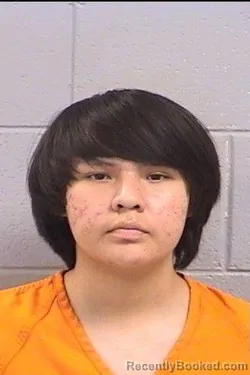 Mugshot of Dishaum Eldon Johnson