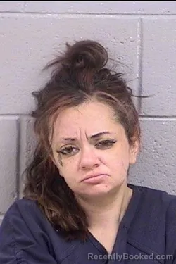 Mugshot of Hope Nicole Mansker booked in San Juan County, New Mexico on July 31, 2026