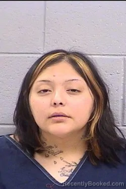 Mugshot of Terralynn Madeline Jones