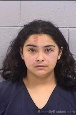 Mugshot of Nicole Emily Espinoza
