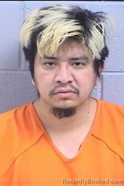 Mugshot of Edward Curtis Nash