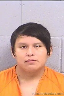 Mugshot of Josiah Lemanuel Lee