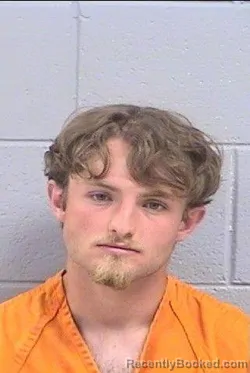 Mugshot of Jadin Cole Robinson