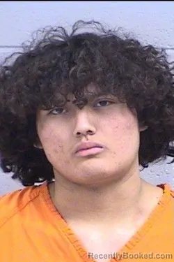 Mugshot of Peyton Sonny Bee