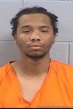 Mugshot of Danaan Shay Arvie