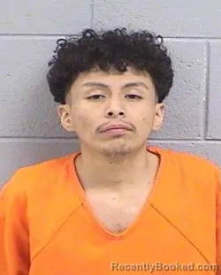 Mugshot of Moon Elilizardo Grey