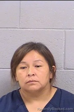 Mugshot of Natasha Johnson booked in San Juan County, New Mexico on October 7, 2026