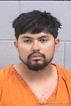 Mugshot of Guadalupe Ceballos