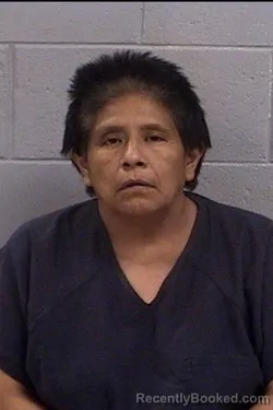 Mugshot of Shelly Renee Salvador booked in San Juan County, New Mexico on May 6, 2026