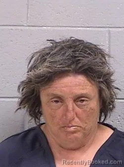 Mugshot of Erin Curtis Buckley-Demarco booked in San Juan County, New Mexico on July 4, 2026