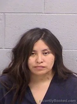 Mugshot of Lacey Angela Howe booked in San Juan County, New Mexico on June 28, 2026