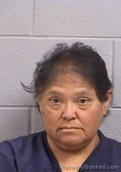 Mugshot of Carrie Renee Julianto booked in San Juan County, New Mexico on July 3, 2026