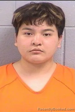 Mugshot of Aidan Erwin Alonzo booked in San Juan County, New Mexico on August 4, 2026